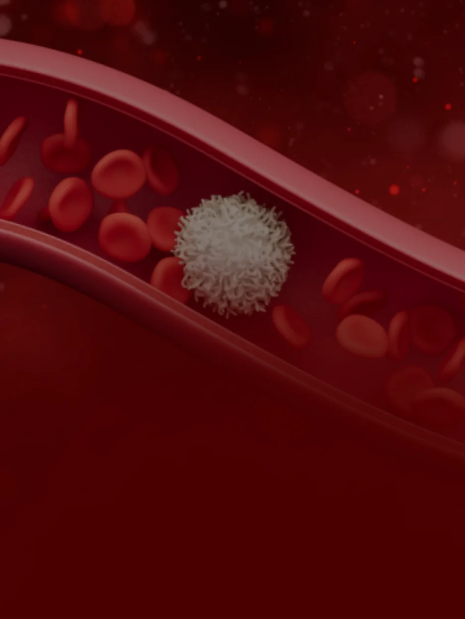 ANEMIAS - CBHL (CONGRESSO BRASILEIRO DE HEMATOLOGIA LABORATORIAL)