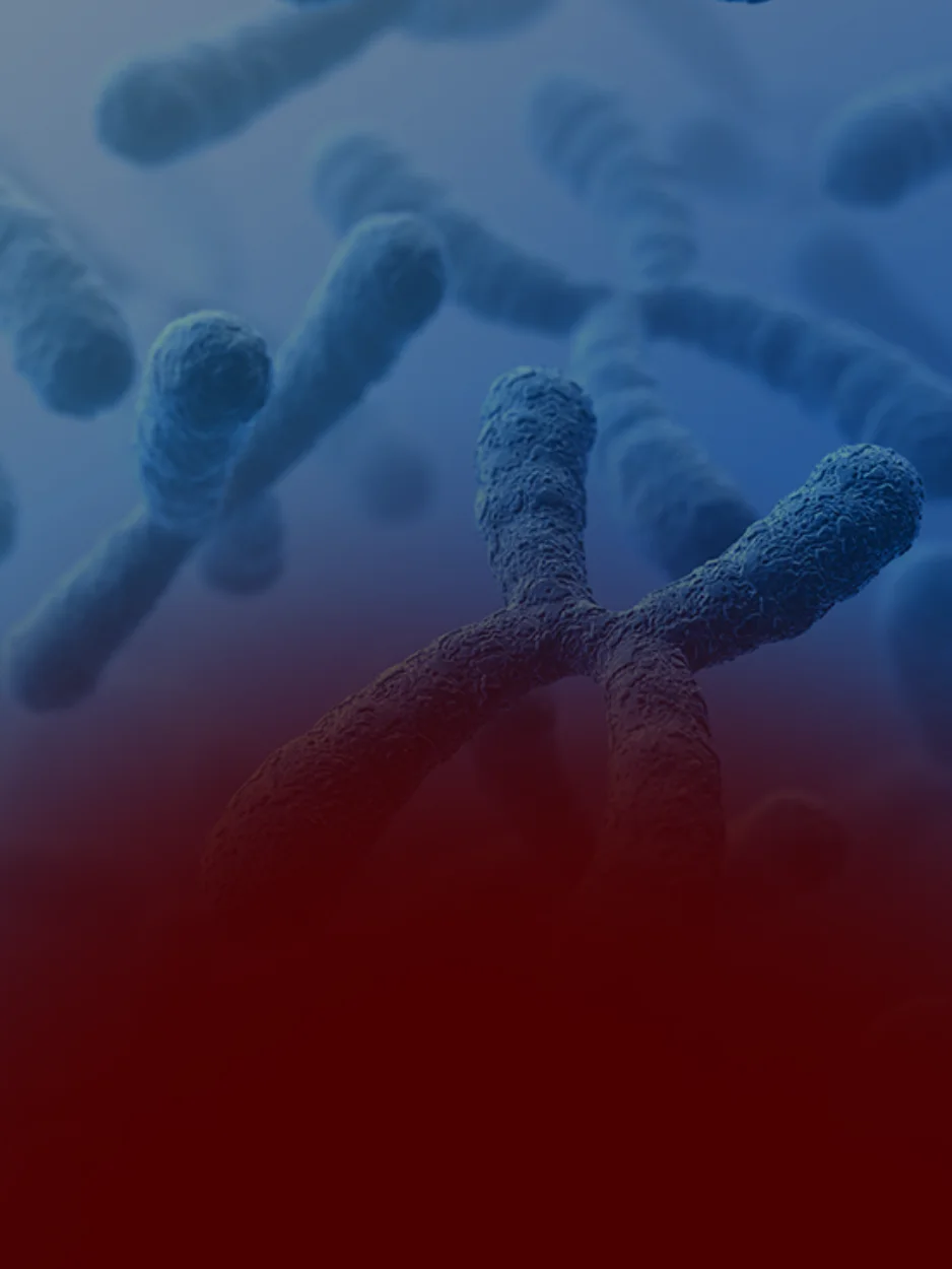 CITOGENÉTICA - CBHL (CONGRESSO BRASILEIRO DE HEMATOLOGIA LABORATORIAL)