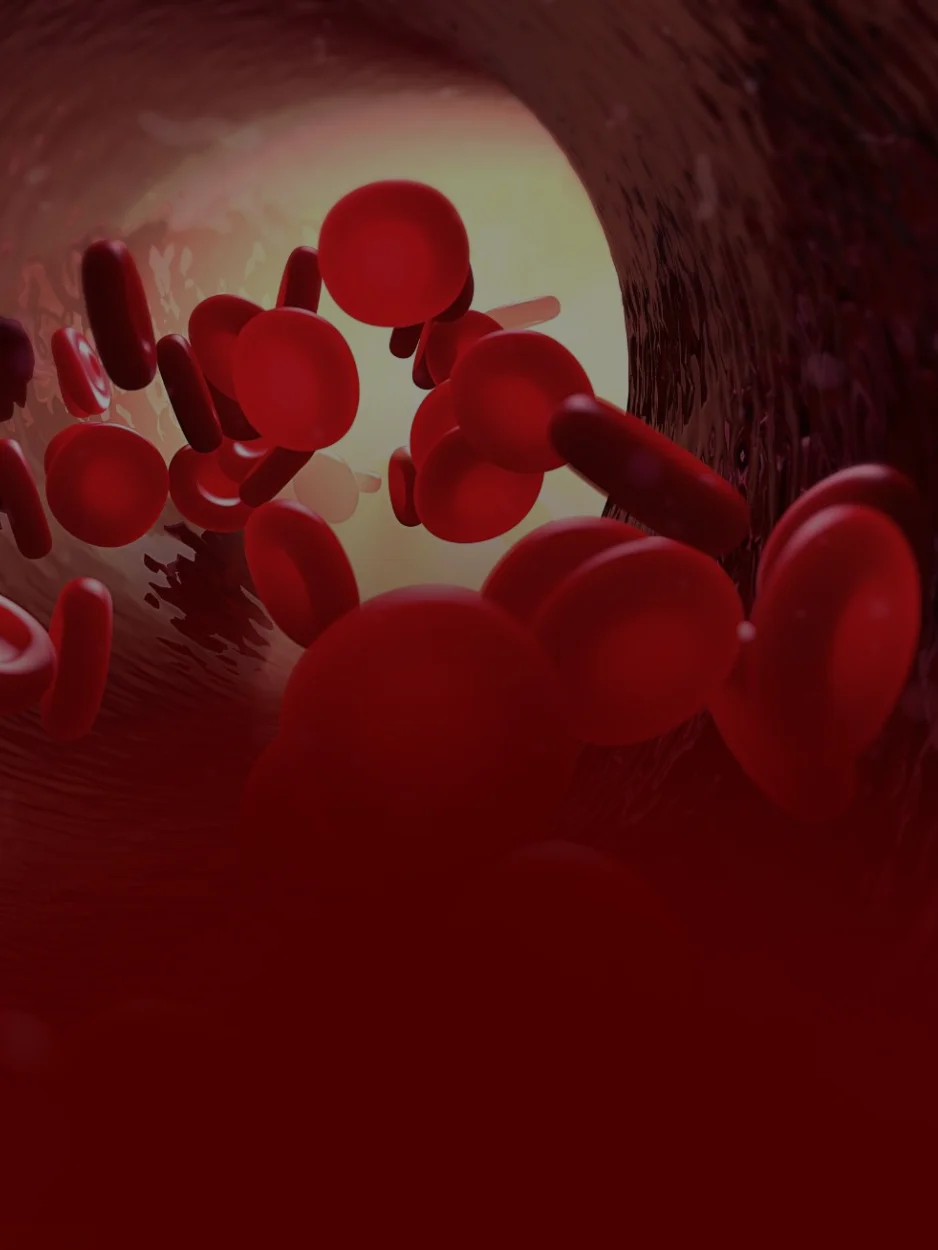 IMUNO-HEMATOLOGIA - CBHL (CONGRESSO BRASILEIRO DE HEMATOLOGIA LABORATORIAL)