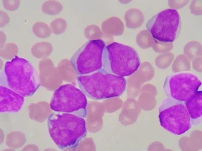 CBHL-Temas-1-qo7qciy82vbstr1dxrave1o9lia8qpib3rym4a8720