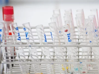 CBHL-Temas-4-qo7qcpj3epkt30rtvc59di0hr7dt8l8fgoj0h7yfug (1)