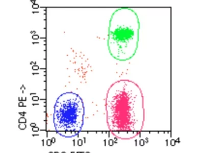 CBHL-Temas-6-qo7qcyxhb1xob4e6cg7j2fn3p23hdk9qtz1v9zki48