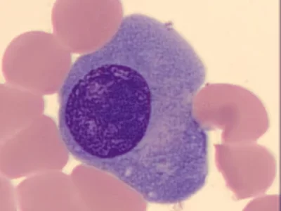 Untitled-design-1-qo7qdnda8qv4ozeodqrtv9h352r0xoyrlc0hr6k9mg