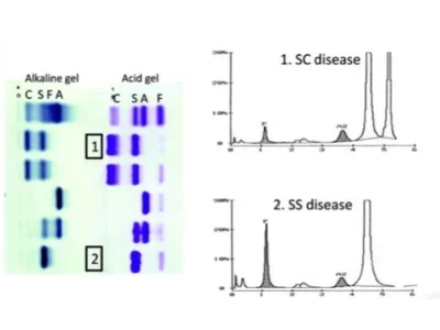 Untitled-design-qo7qd6g6tq7yw0394jgjmdqsg52f353lj09r479cqg